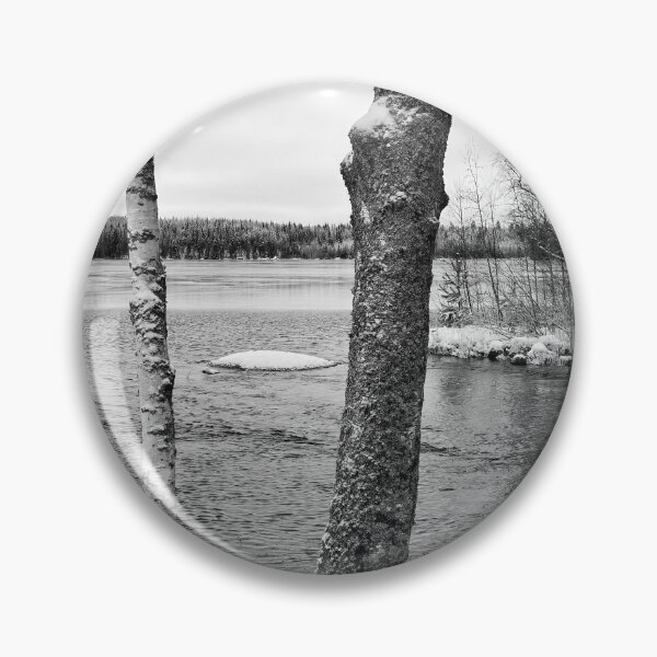 Item preview, Birches. bw Parkuu 2025 designed and sold by Jouko Lehto Photography.