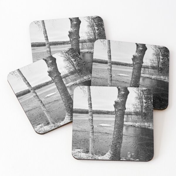 Item preview, Birches. bw Parkuu 2025 designed and sold by Jouko Lehto Photography.