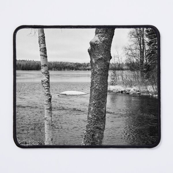 Item preview, Birches. bw Parkuu 2025 designed and sold by Jouko Lehto Photography.