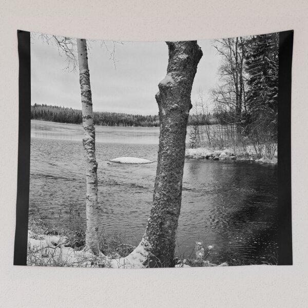 Item preview, Birches. bw Parkuu 2025 designed and sold by Jouko Lehto Photography.