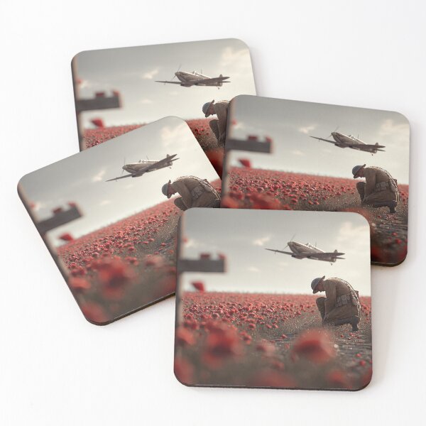 Item preview, War Heros Final Salute designed and sold by Skyframe Aviation.