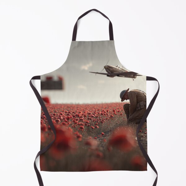 Item preview, War Heros Final Salute designed and sold by Skyframe Aviation.
