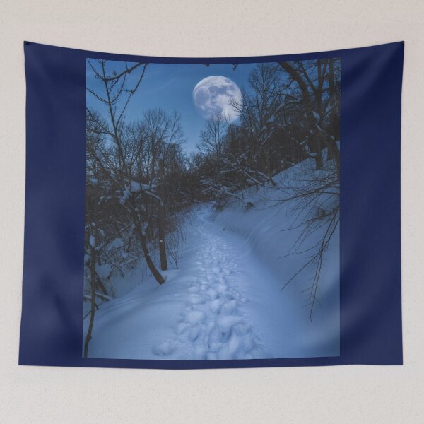Item preview, Moonlit Winter Path – Serene Snowy Forest Night Landscape designed and sold by Pukisdaizi.