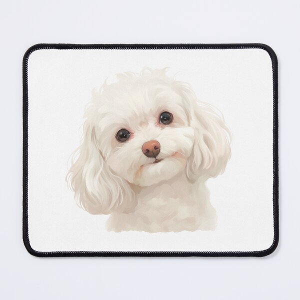 Item preview, Bichon Bolognese designed and sold by SMARTKIT  DESIGNAGENCY.