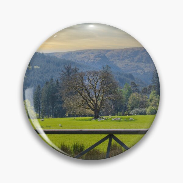 Artikelvorschau, Schafe von Benmore Argyll entworfen und verkauft von RJW Images.