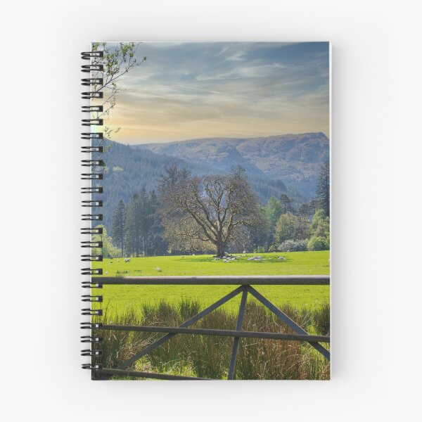 Item preview, Ovejas de Benmore Argyll designed and sold by RJW Images.