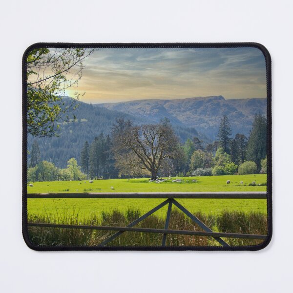 Item preview, Sheep of Benmore Argyll designed and sold by RJW Images.