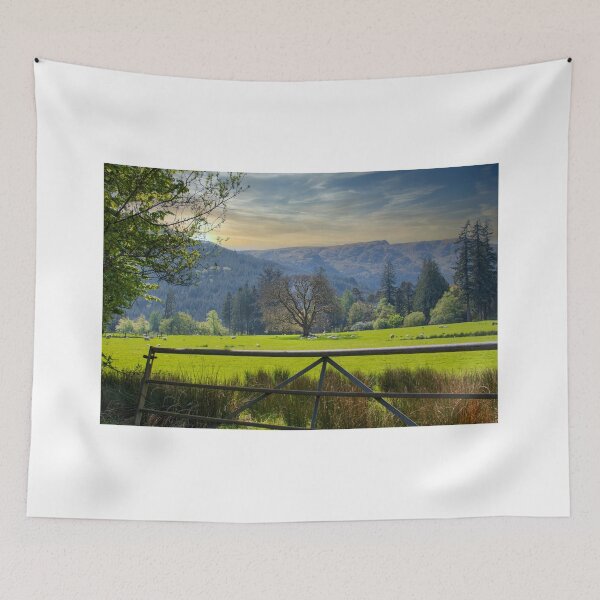 Item preview, Sheep of Benmore Argyll designed and sold by RJW Images.