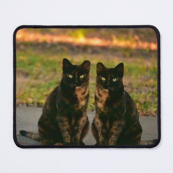 Item preview, Double Trouble designed and sold by MercerImages.