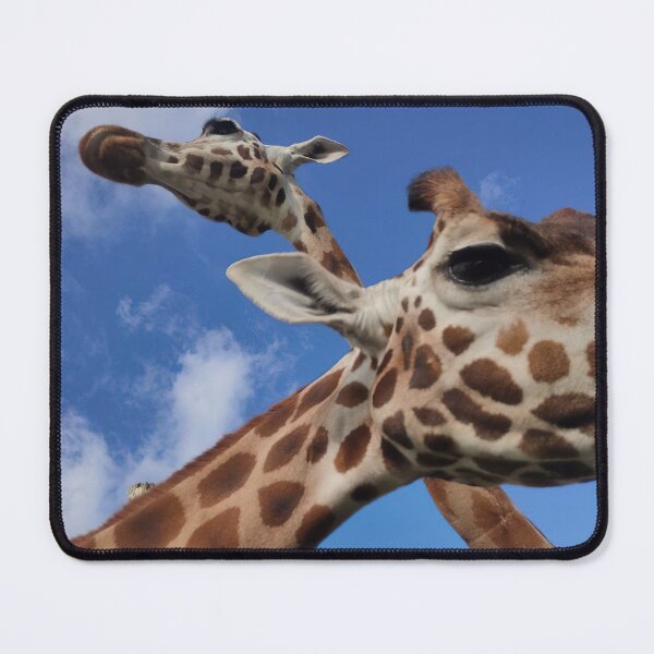 Item preview, Woburn, UK - Giraffe Attack designed and sold by photophantom.