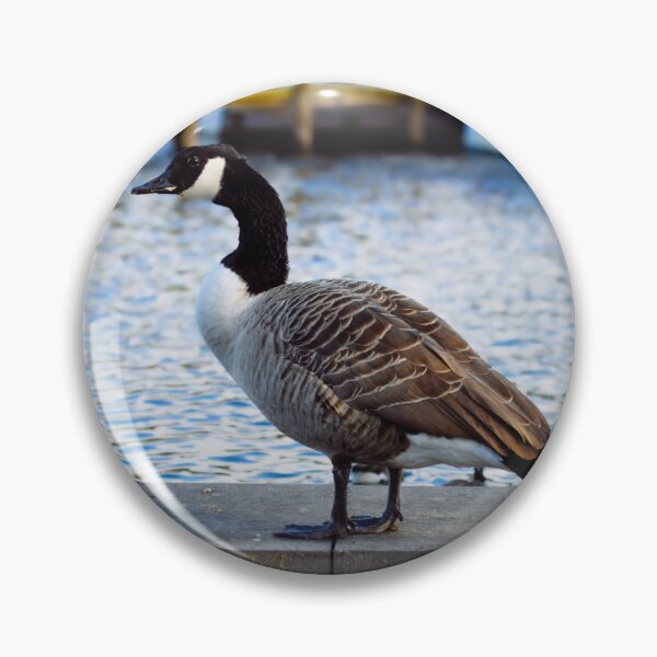 Item preview, The Canadian Goose designed and sold by RJW Images.