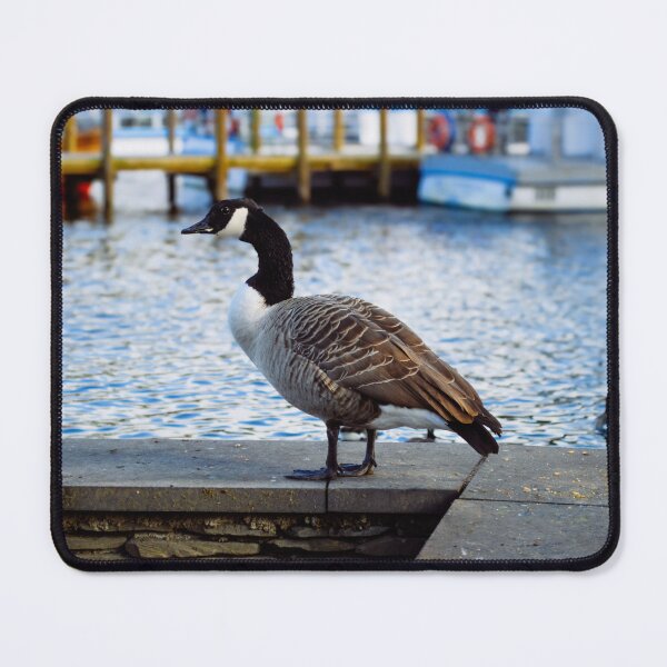 Item preview, The Canadian Goose designed and sold by RJW Images.