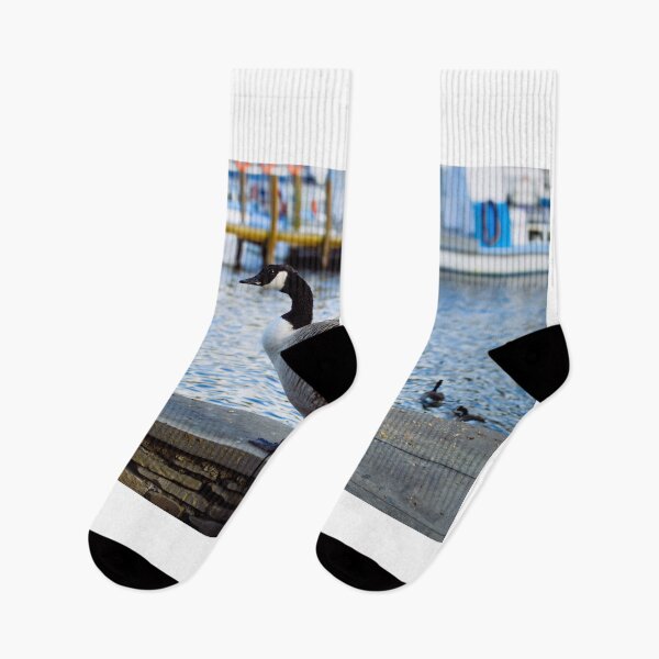 Item preview, The Canadian Goose designed and sold by RJW Images.