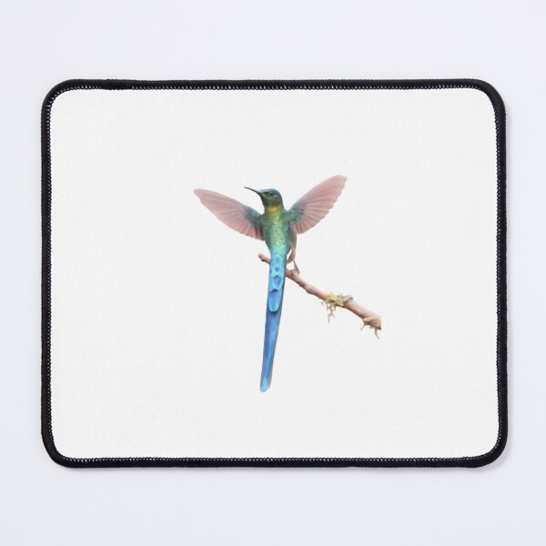 Item preview, Violet-tailed Sylph (Aglaiocercus coelestis) designed and sold by HOMETOWN86.