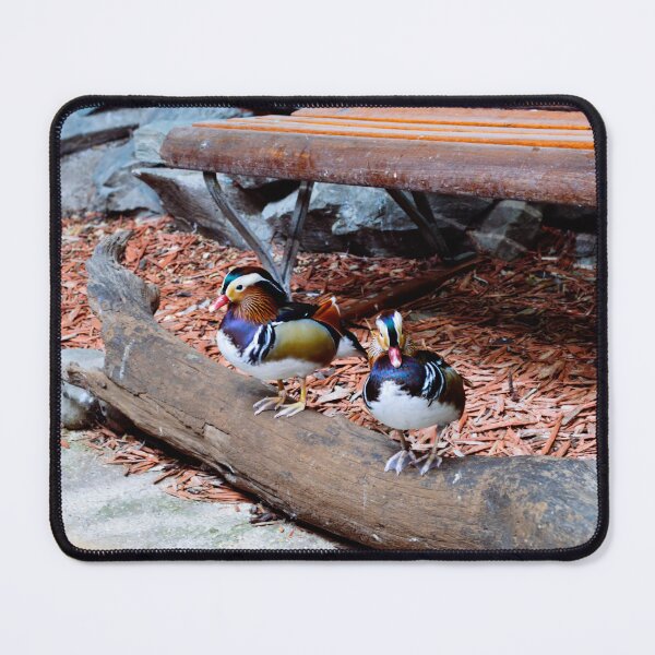 Item preview, Mandarin Duck designed and sold by RJW Images.