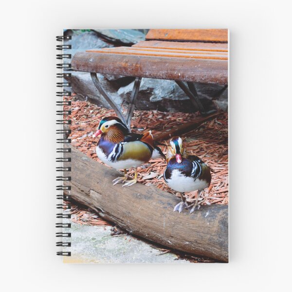 Item preview, Mandarin Duck designed and sold by RJW Images.