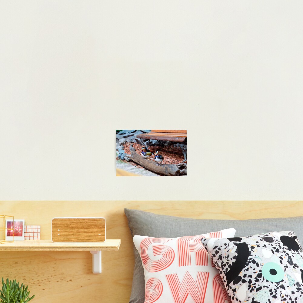 Item preview, Photographic Print designed and sold by RJWImages.
