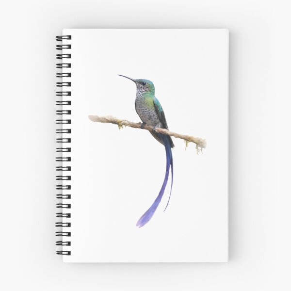 Item preview, White-necked Jacobin (Florisuga mellivora) designed and sold by HOMETOWN86.
