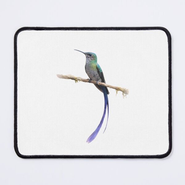 Item preview, White-necked Jacobin (Florisuga mellivora) designed and sold by HOMETOWN86.