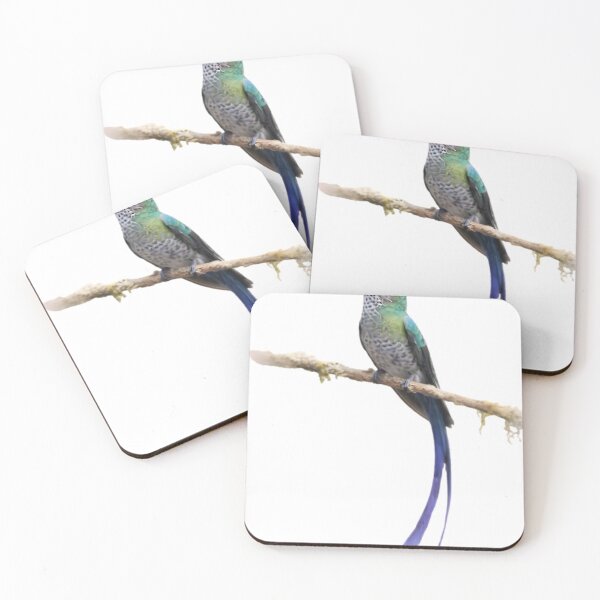 Item preview, White-necked Jacobin (Florisuga mellivora) designed and sold by HOMETOWN86.