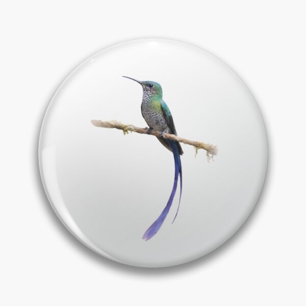 Item preview, White-necked Jacobin (Florisuga mellivora) designed and sold by HOMETOWN86.