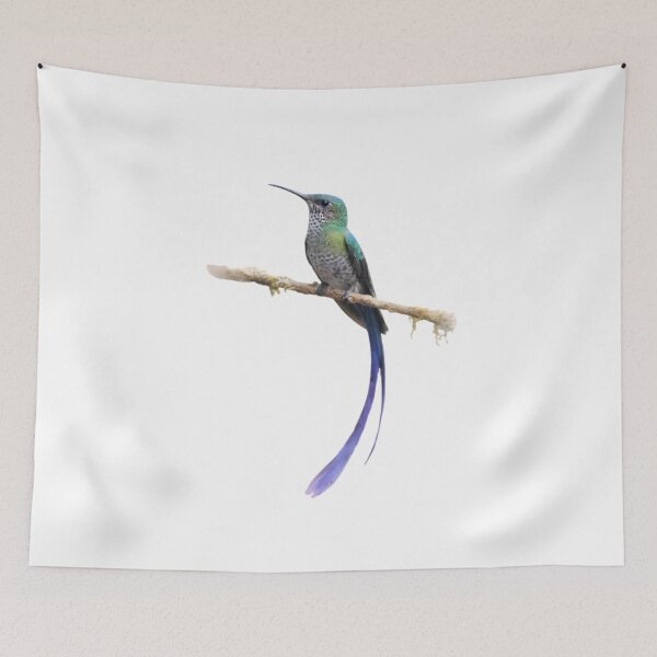 Item preview, White-necked Jacobin (Florisuga mellivora) designed and sold by HOMETOWN86.