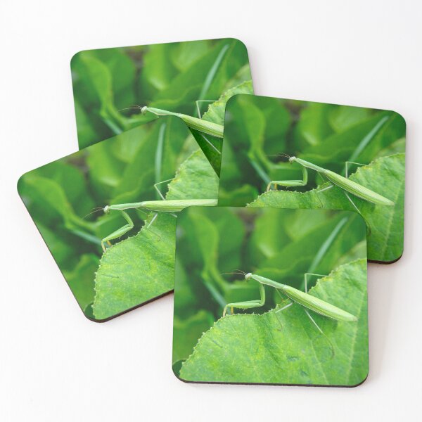 Item preview, Green praying mantis on a leaf designed and sold by Darekb22.