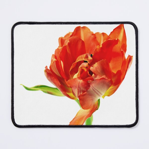 Item preview, Come Waltz with Me designed and sold by Kasia Design.