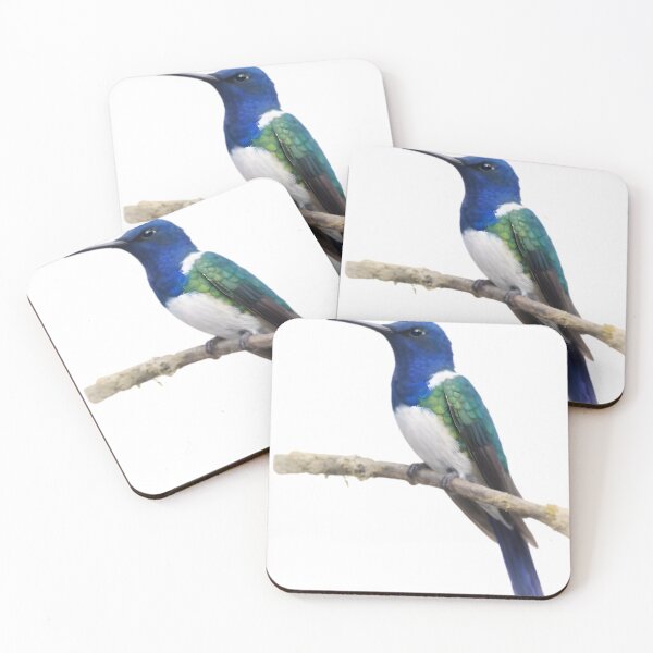 Item preview, Green-crowned Brilliant (Heliodoxa jacula) designed and sold by HOMETOWN86.