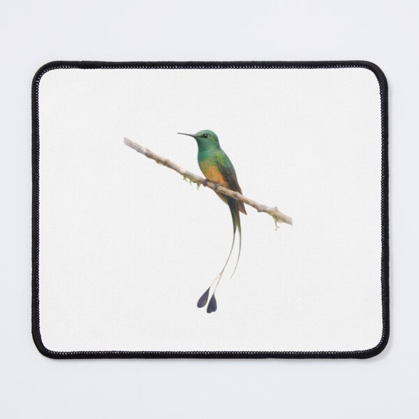 Item preview, Booted Racket-tail (Ocreatus underwoodii) designed and sold by HOMETOWN86.