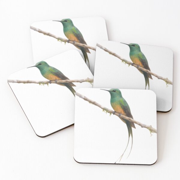 Item preview, Booted Racket-tail (Ocreatus underwoodii) designed and sold by HOMETOWN86.