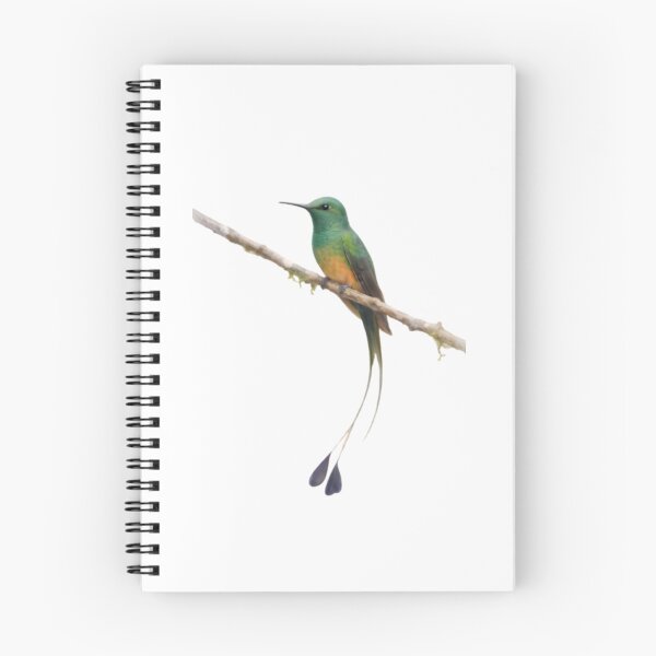 Item preview, Booted Racket-tail (Ocreatus underwoodii) designed and sold by HOMETOWN86.