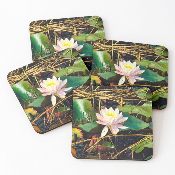 Item preview, Waterlily (Water Lily) designed and sold by RJW Images.