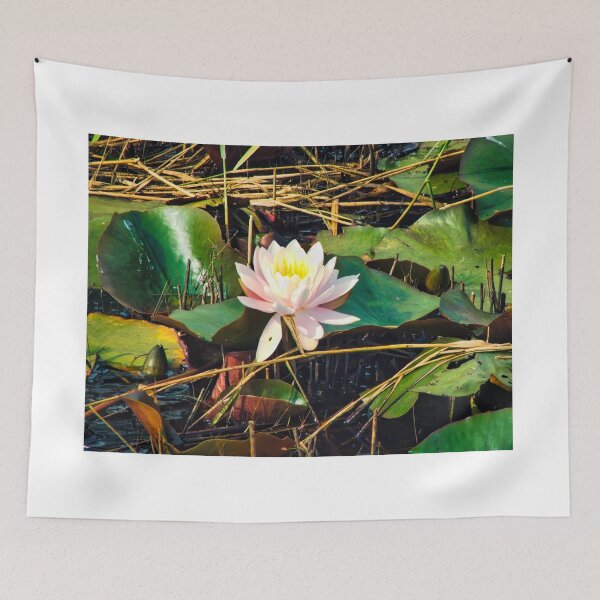 Item preview, Waterlily (Water Lily) designed and sold by RJW Images.