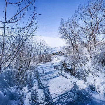 Artwork thumbnail, Snow Scene by RJW Images