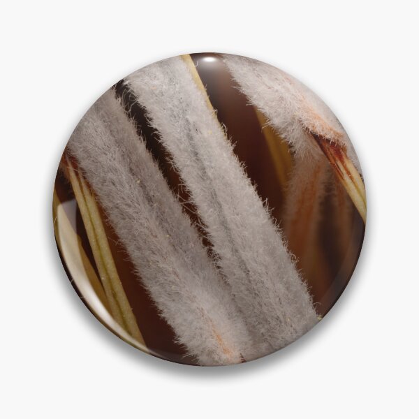 Item preview, Protea Seed Soft Macro Texture designed and sold by Goiko7Margarita.