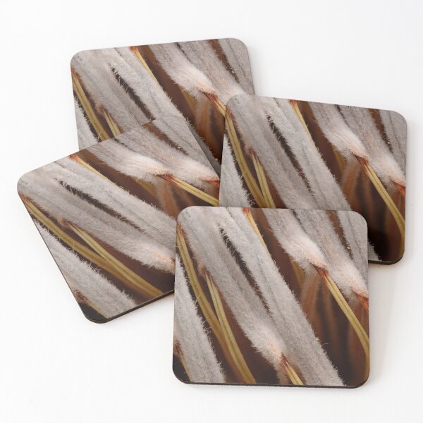 Item preview, Protea Seed Soft Macro Texture designed and sold by Goiko7Margarita.