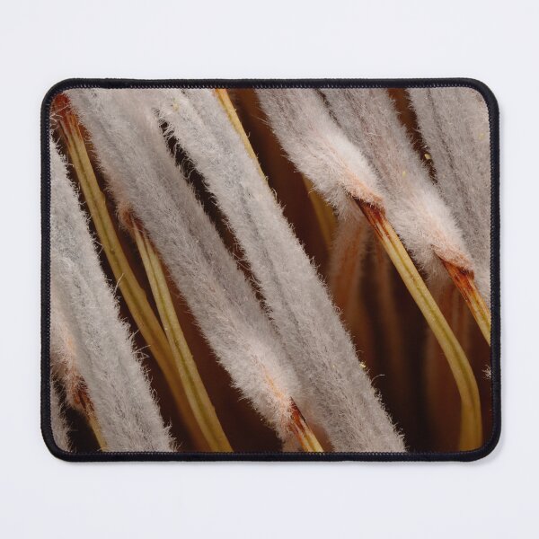 Item preview, Protea Seed Soft Macro Texture designed and sold by Goiko7Margarita.