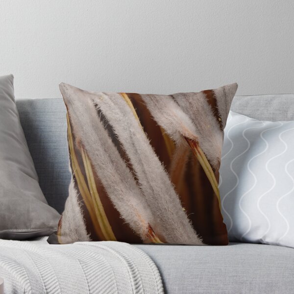 Item preview, Protea Seed Soft Macro Texture designed and sold by Goiko7Margarita.