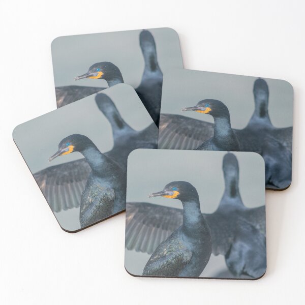 Item preview, Photograph of two Cape Cormorants designed and sold by SecondsOnEarth.