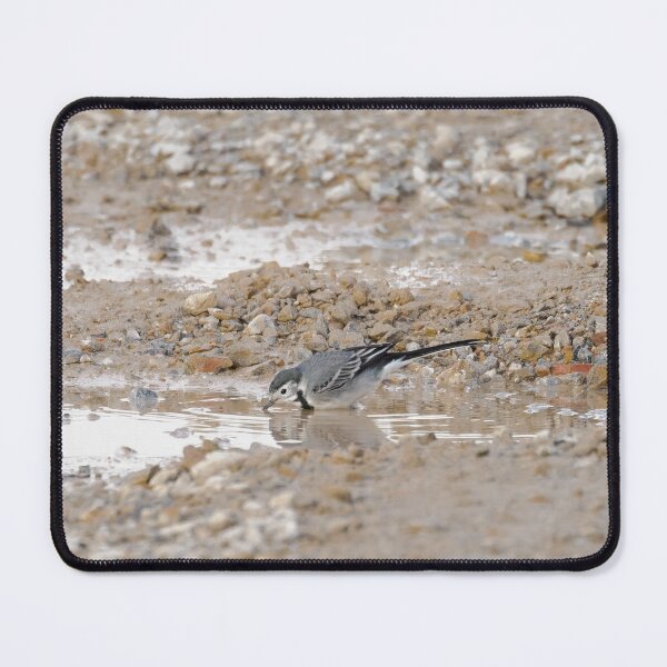 Item preview, White Wagtail Sip designed and sold by Ralph Goldsmith.