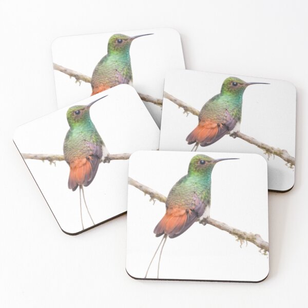 Item preview, Rufous-tailed Hummingbird (Amazilia tzacatl) designed and sold by HOMETOWN86.