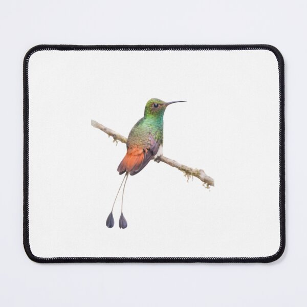 Item preview, Rufous-tailed Hummingbird (Amazilia tzacatl) designed and sold by HOMETOWN86.