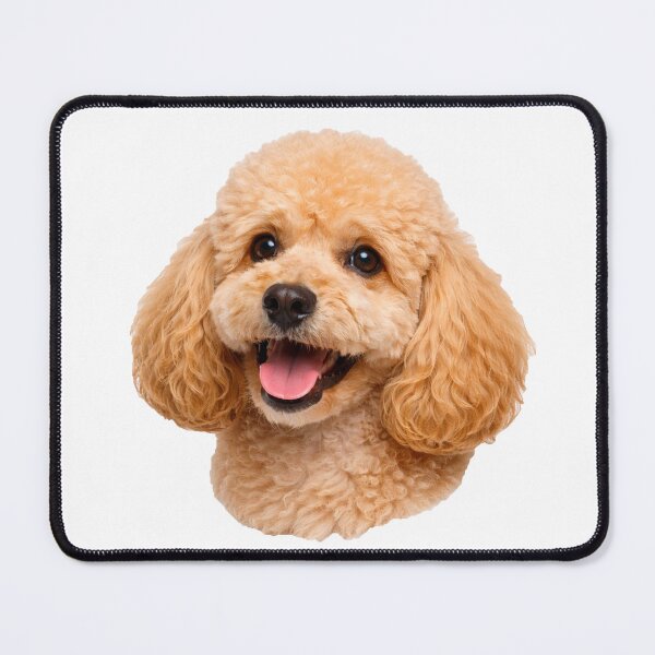 Item preview, Smiling Poodle Joy - Adorable Happy Dog Portrait designed and sold by Clavivs.