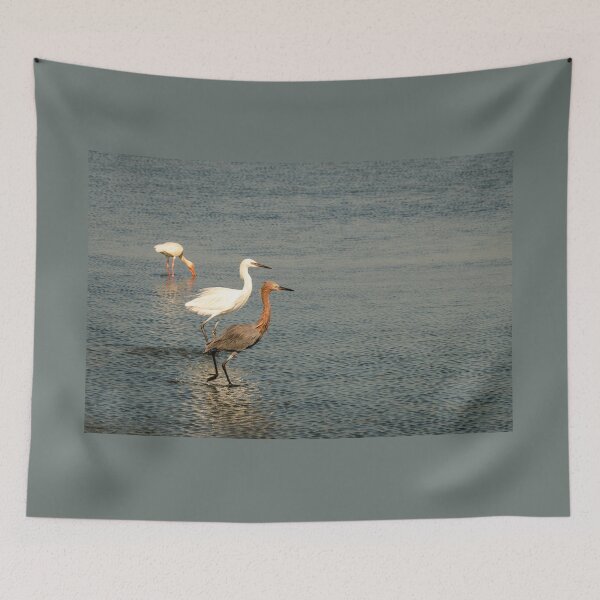 Item preview, Egrets and an Ibis in Shallow Water designed and sold by Debra Martz.