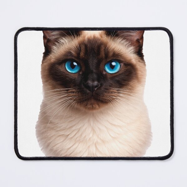 Item preview, Captivating Siamese Cat: Intense Sapphire Blue Eyes on a transparent background designed and sold by Clavivs.