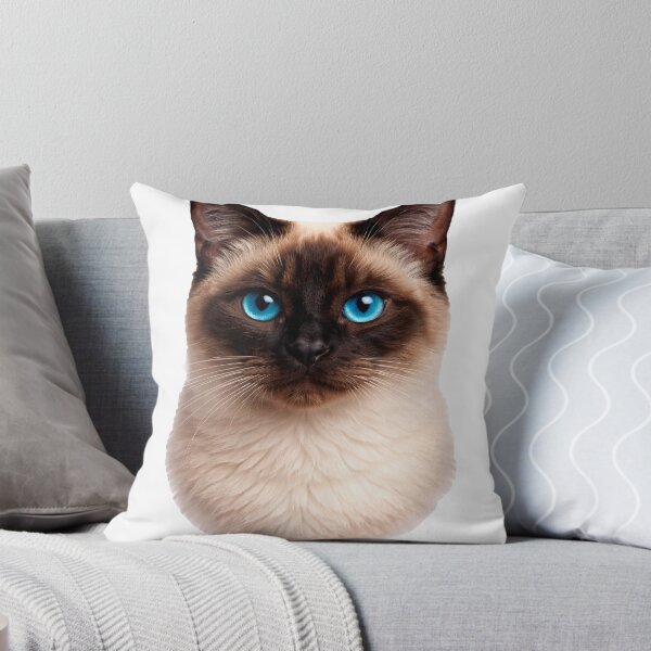 Item preview, Captivating Siamese Cat: Intense Sapphire Blue Eyes on a transparent background designed and sold by Clavivs.