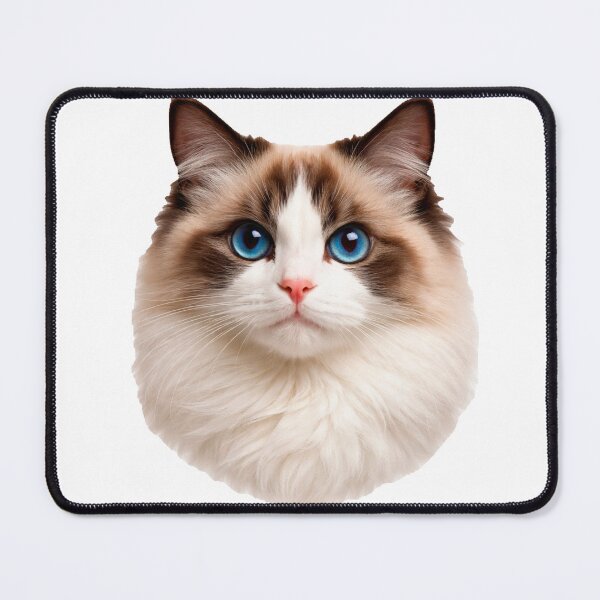Item preview, Captivating Blue-Eyed Ragdoll Cat Portrait on a transparent background designed and sold by Clavivs.