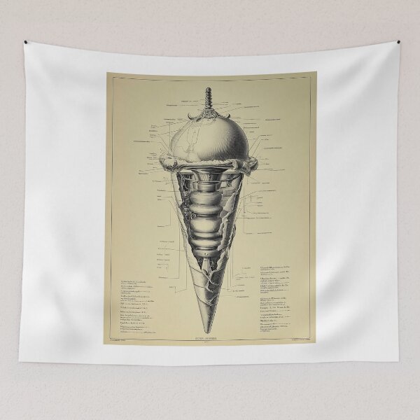 Item preview, Detailed fantasy Anatomical Diagram of an ice cream designed and sold by lautir.