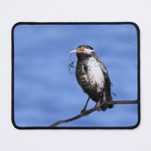 Item preview, The Indian Pied Myna designed and sold by ScabaceArt.